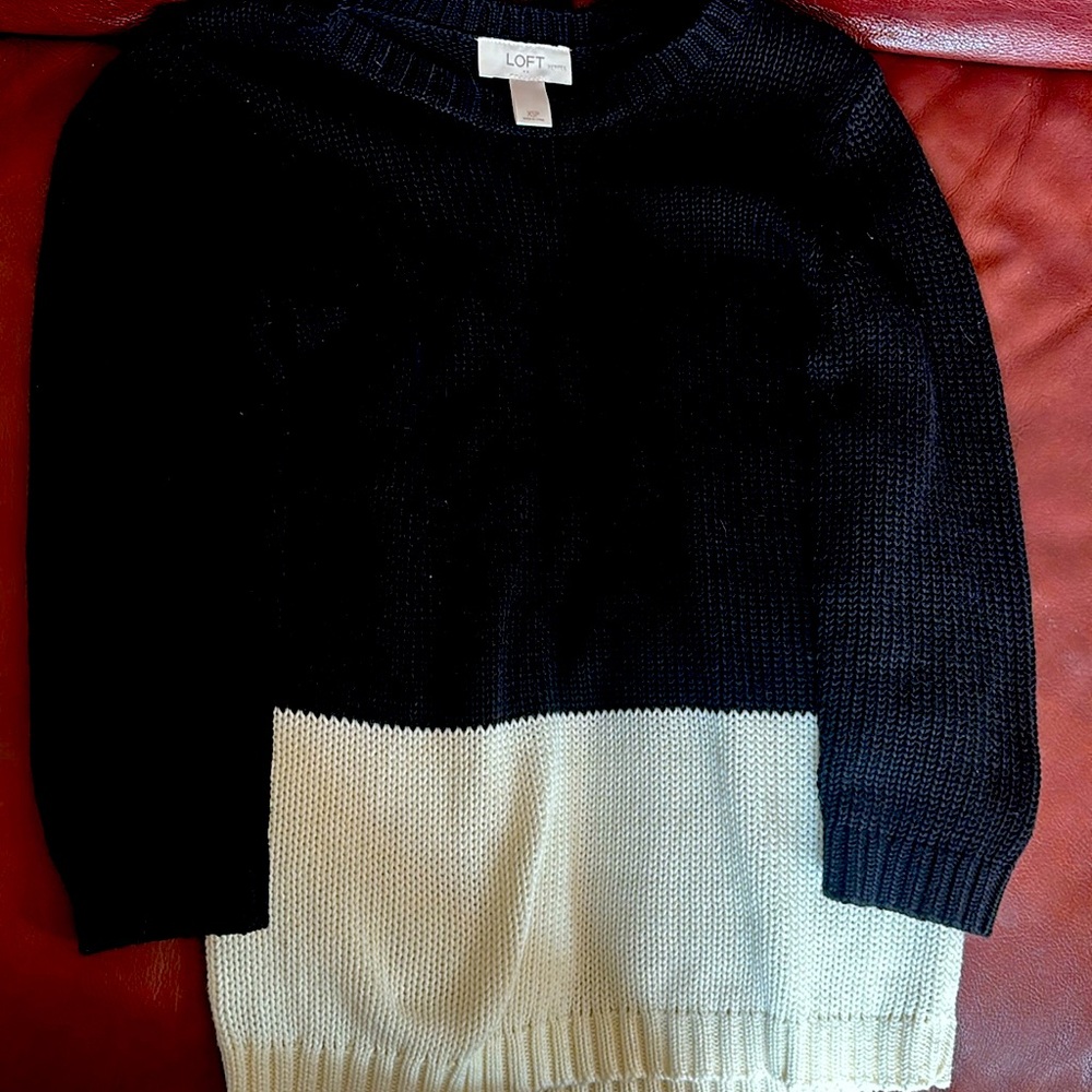 Black and white Loft sweater